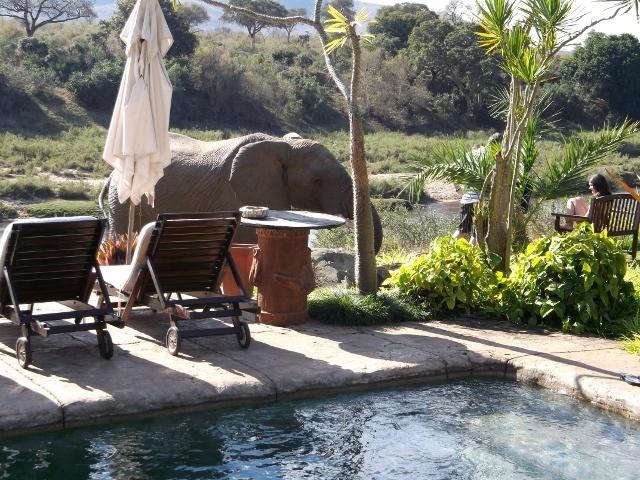 Khandizwe Kruger Villa Malalane Rom bilde